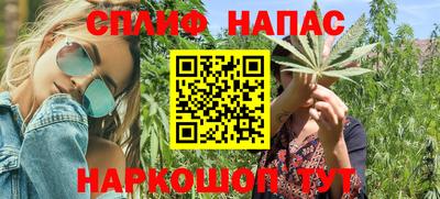 тгк Гусев