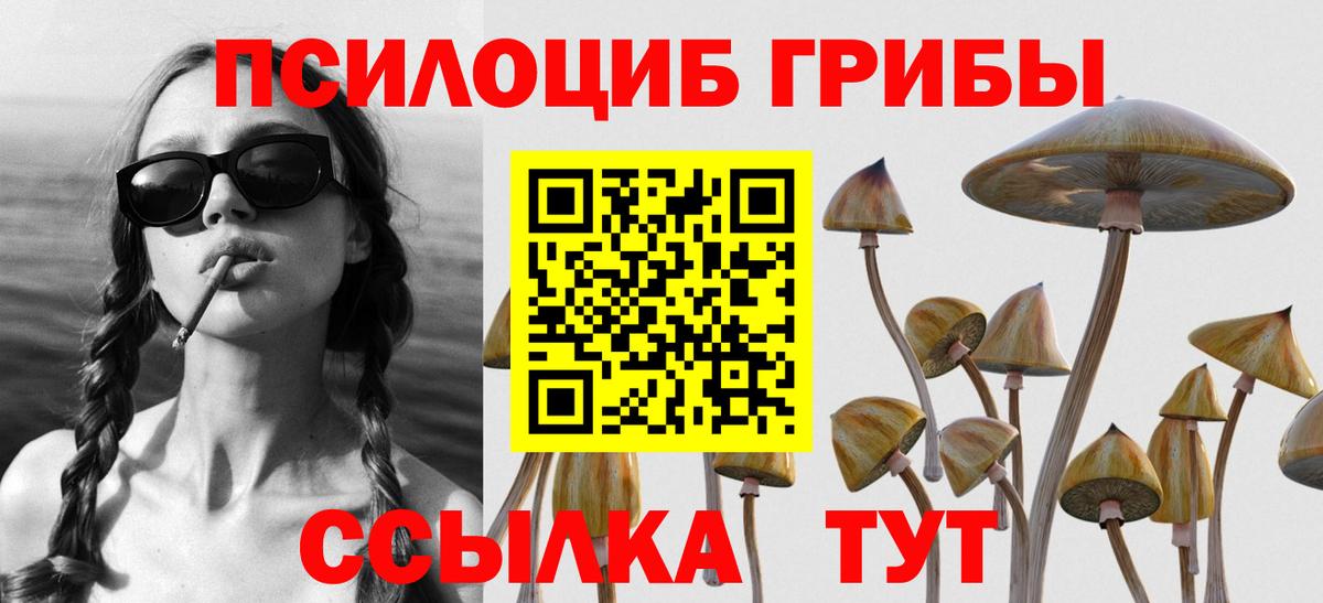 Мценск  Псилоцибиновые грибы Psilocybine cubensis  Вход с VPN 