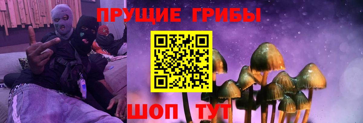 Галлюциногенные грибы GOLDEN TEACHER Мценск